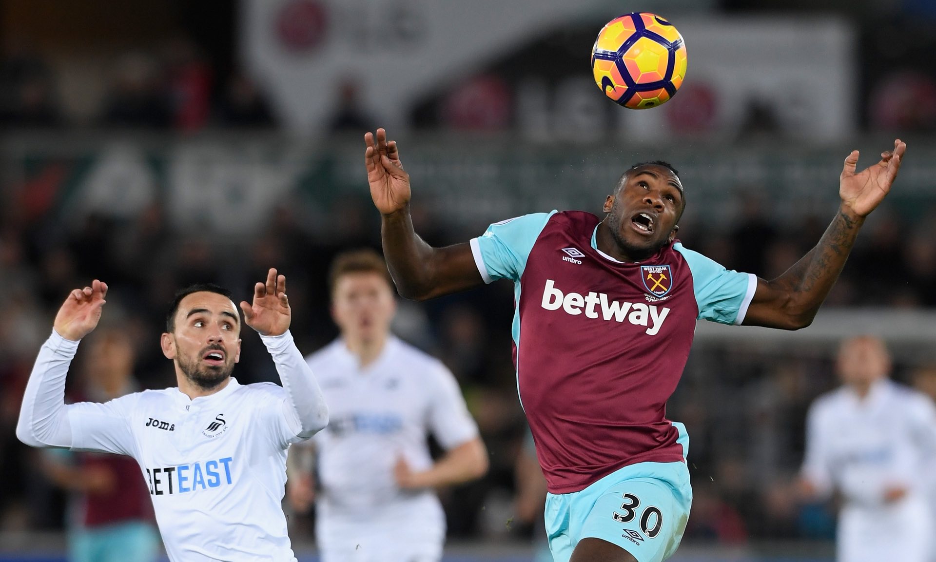 在全球羽毛 在全球羽毛