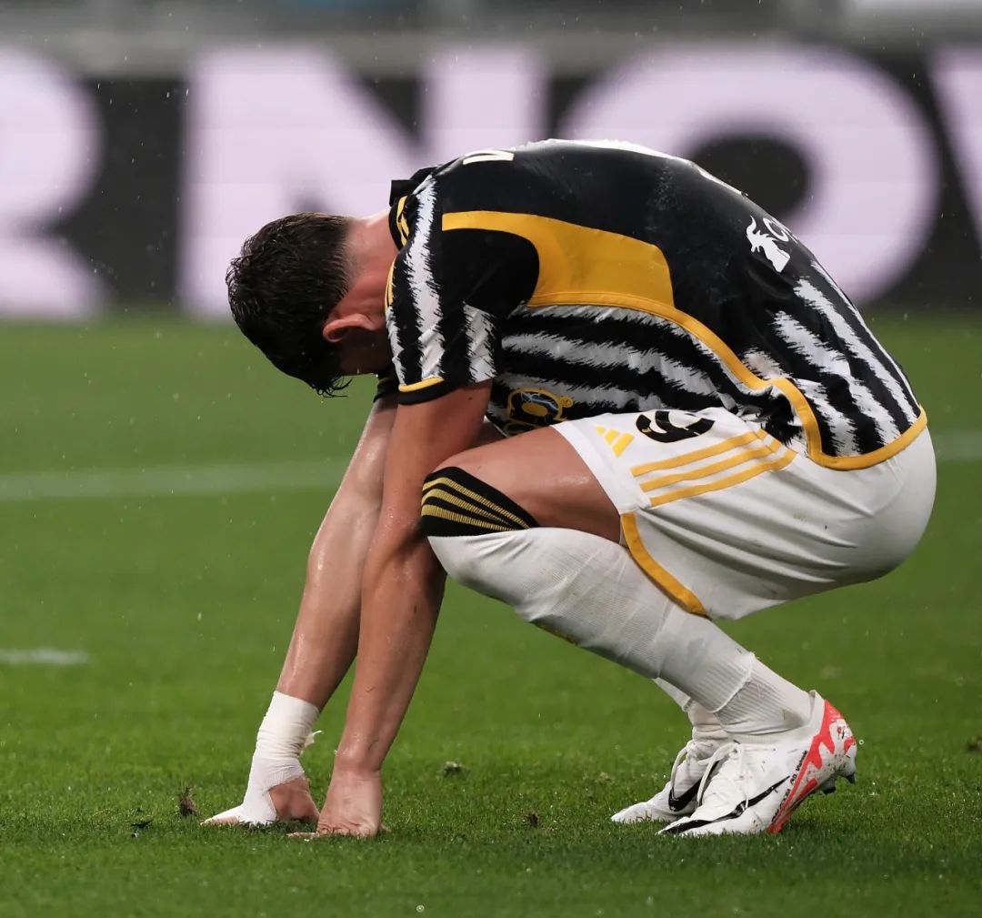 郑钦文这颗 郑钦文这颗